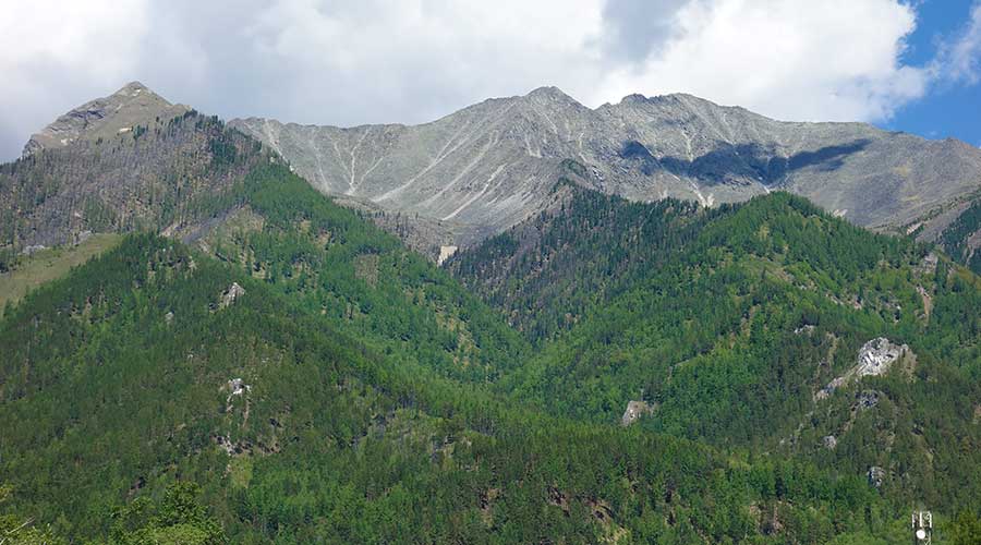 Усадьба сороковиковых аршан фото