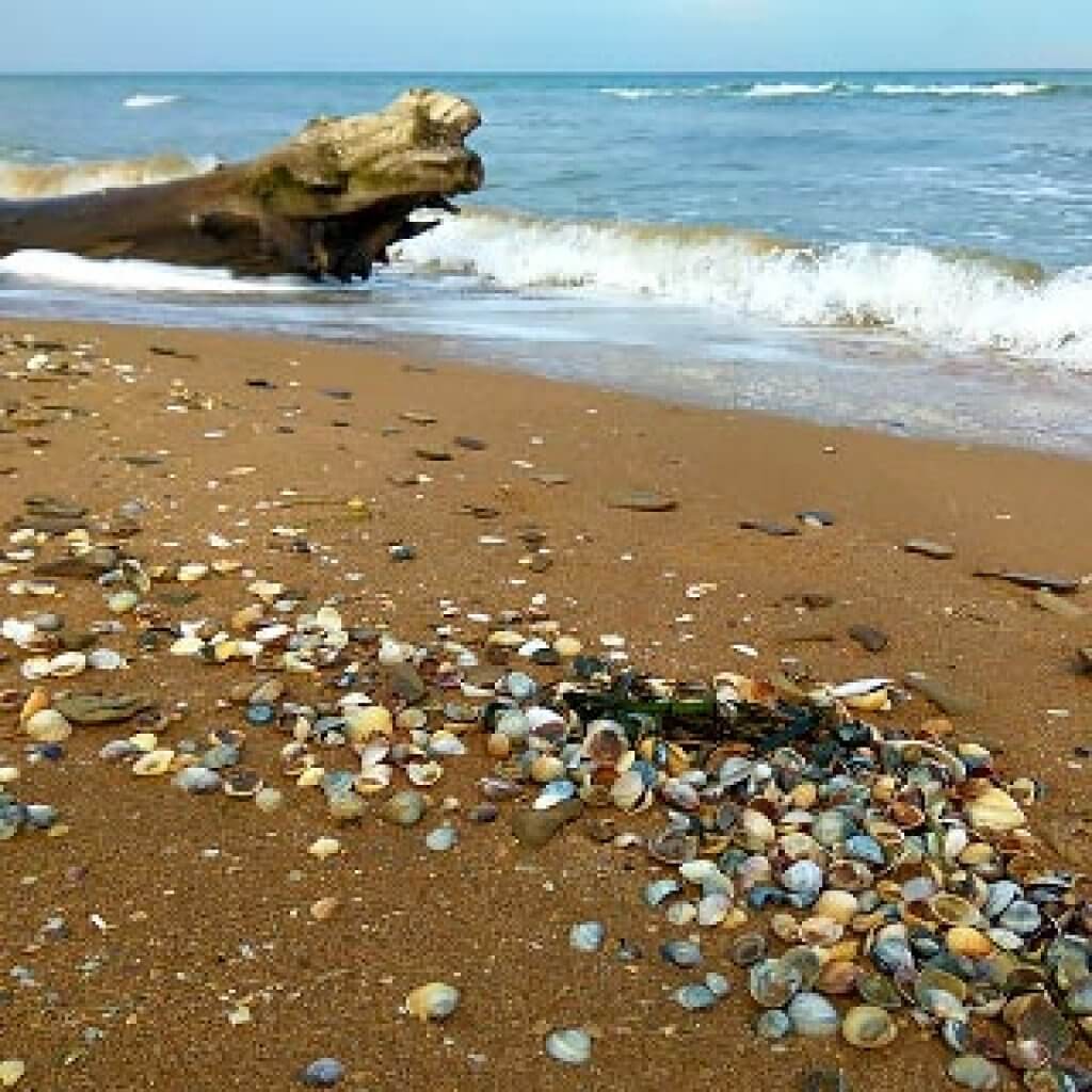 азовское море курорты кучугуры