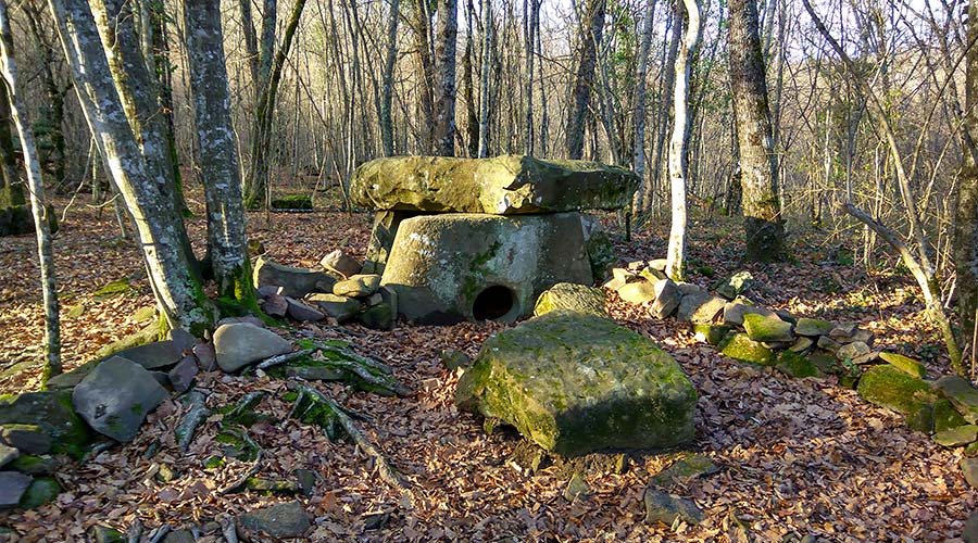dolmeny za rekoy 6