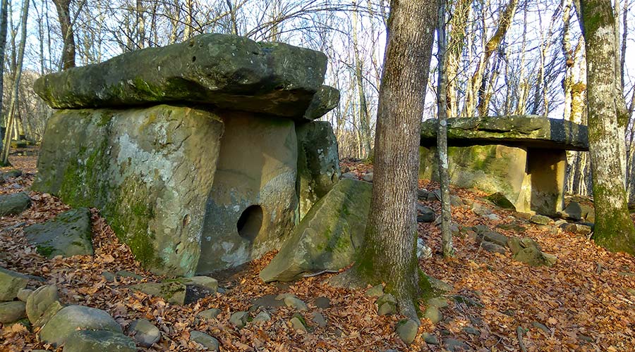 dolmeny za rekoy 7