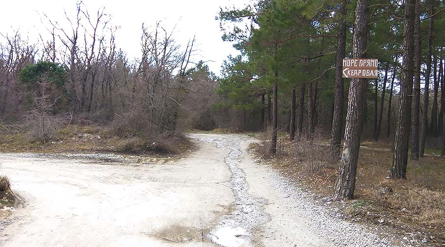 Геленджик пляж сосновка карта